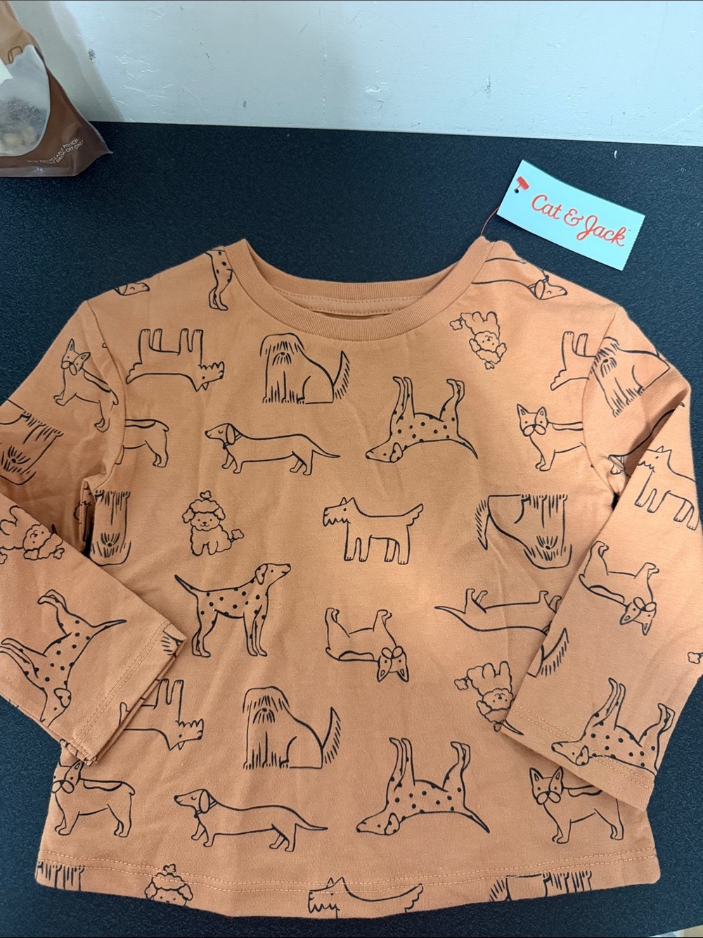 Cat & Jack Rust Orange Dog Sketch Long Sleeve Top